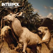 Interpol - Our Love To Admire (Blue) Vinyl LP